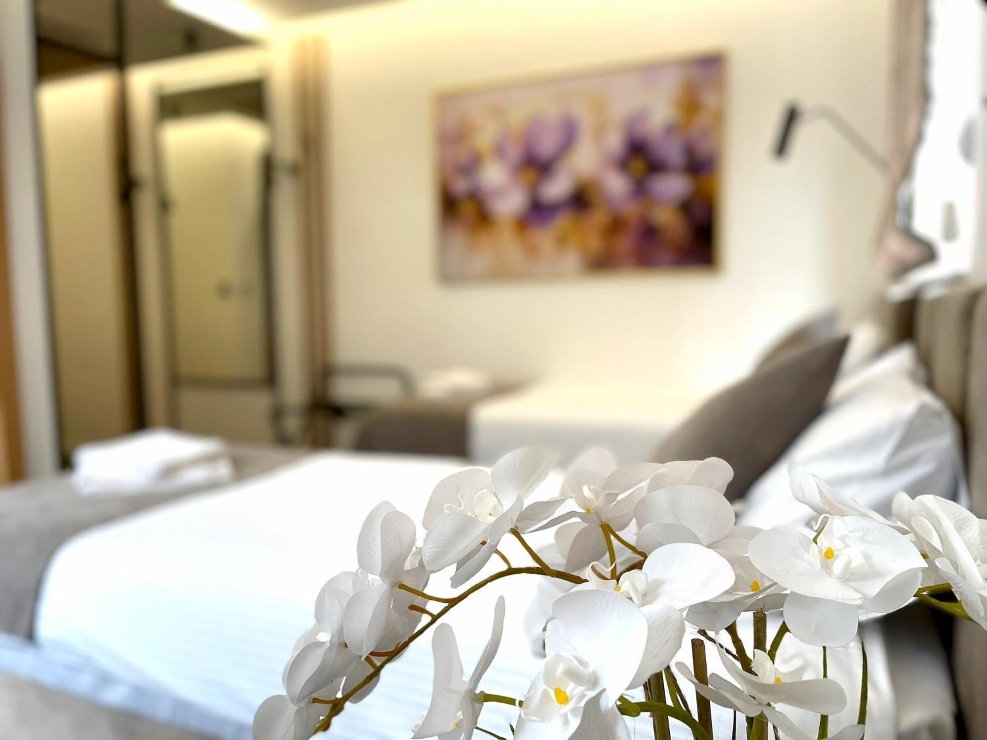 Hotel Npl Code Naselje Starosjedilaca Zewnętrze zdjęcie
