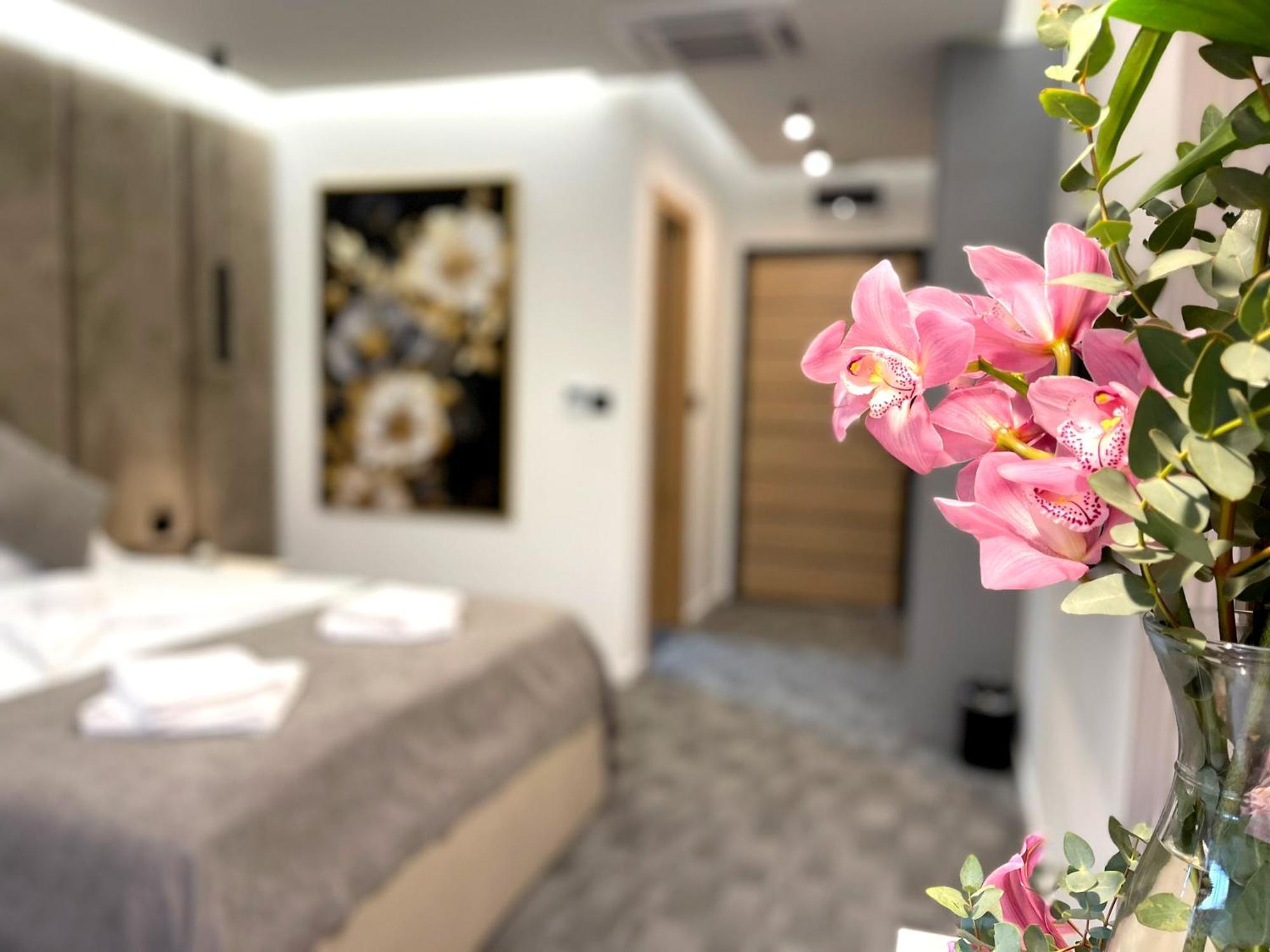 Hotel Npl Code Naselje Starosjedilaca Zewnętrze zdjęcie