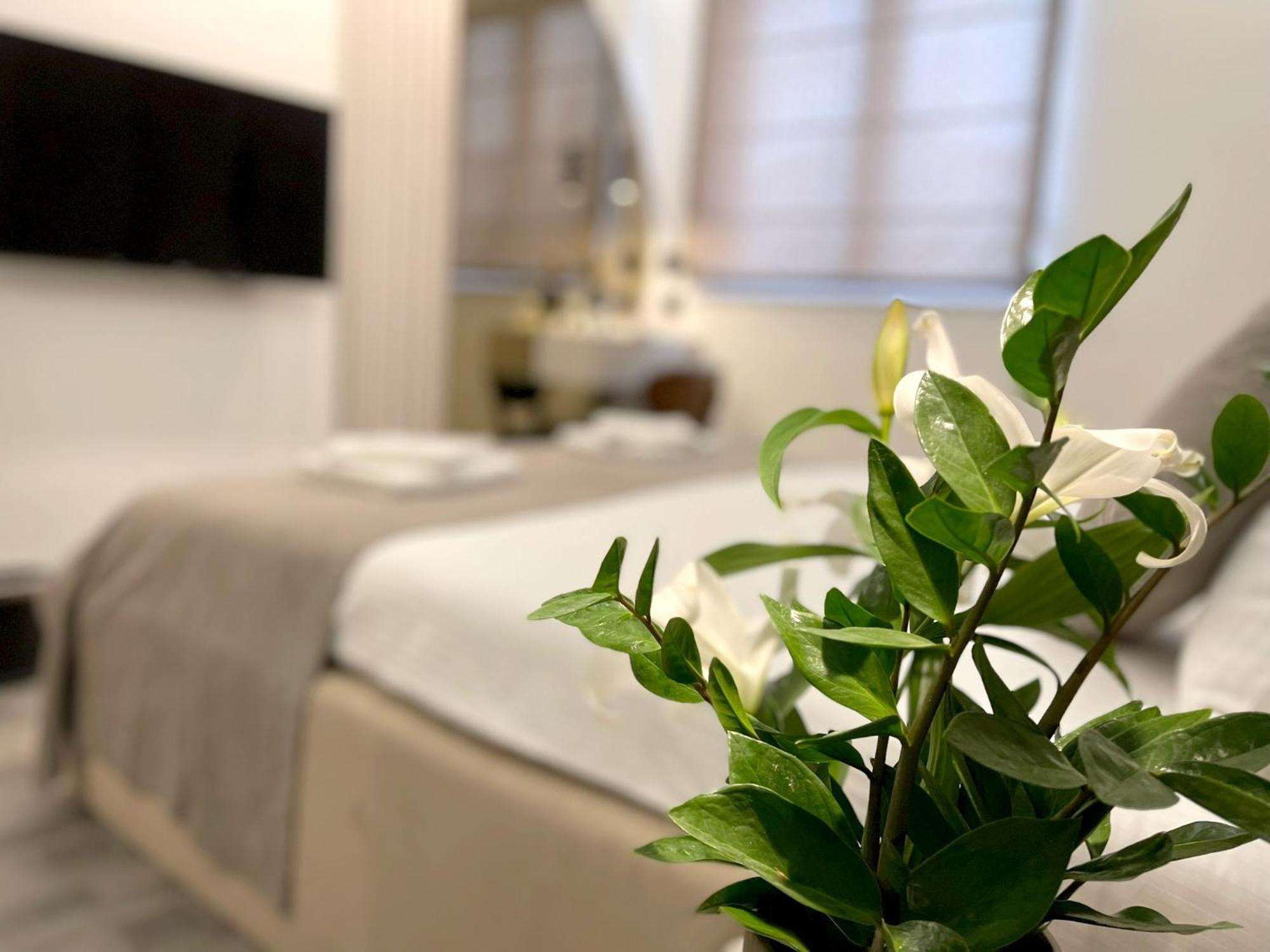 Hotel Npl Code Naselje Starosjedilaca Zewnętrze zdjęcie